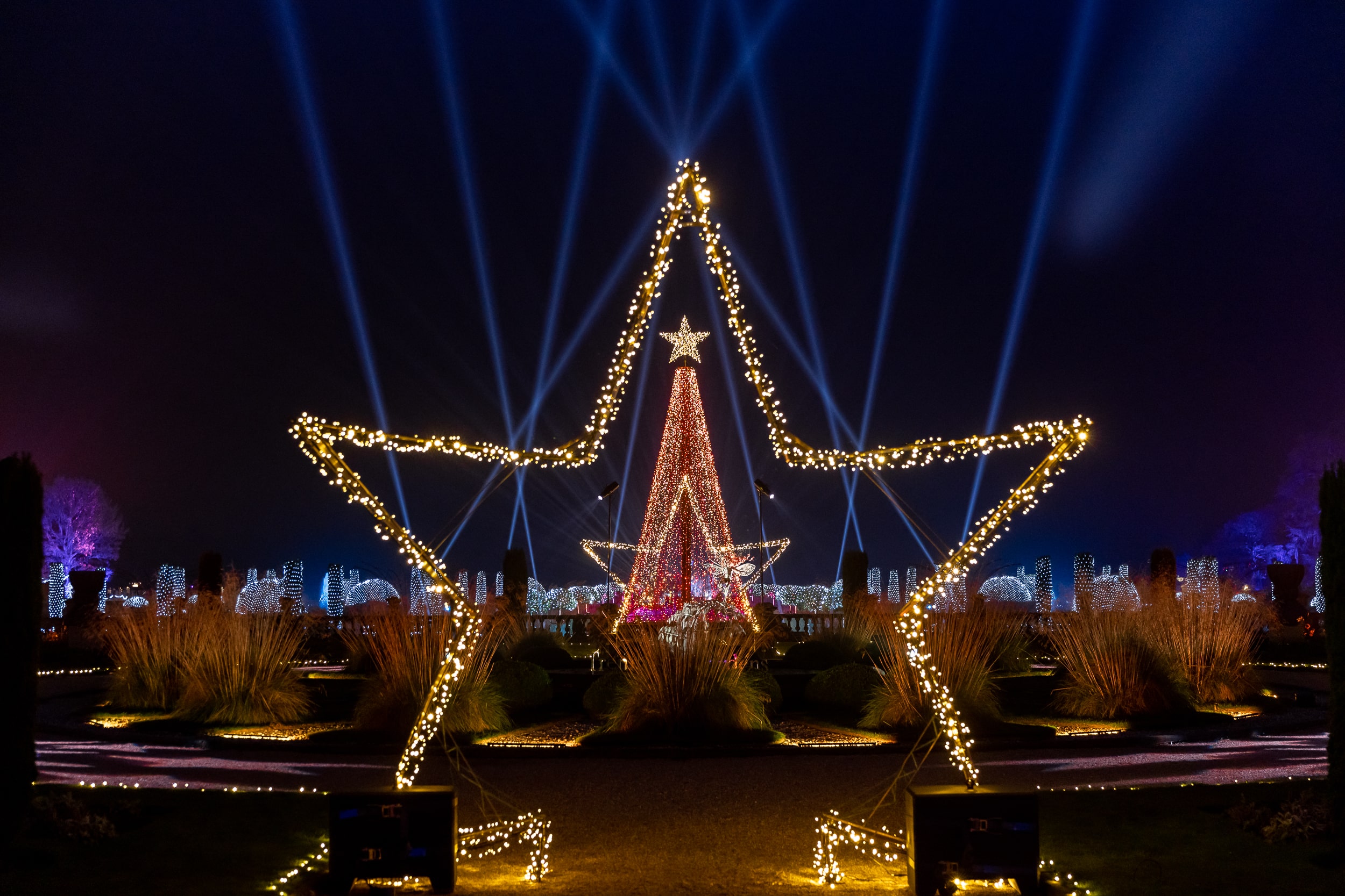 Christmas at Trentham